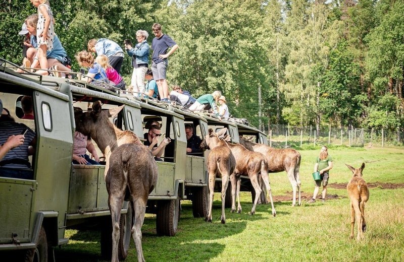 Trips for the whole family